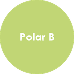 Polar B
