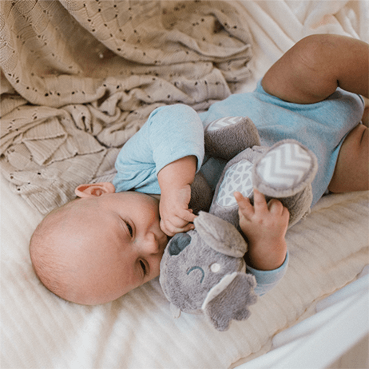 Babyono | Kosebamse | Koala Coco
